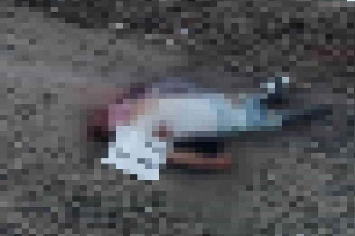 Crimen atroz en Tierralta: torturan y matan a un hombre y le ponen un cartel de “biolo”
