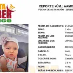 Bebé robada tras el crimen de sus padres en Ciudad Juárez: ¿quién se la llevó?