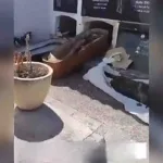 Indignación en Bufalí por el saqueo y la profanación de tumbas en el cementerio municipal en Valencia -España