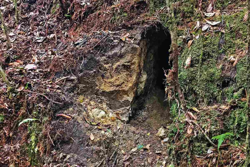  Descubren el búnker del ELN en Antioquia: un caserío invisible donde encerraban a sus víctimas