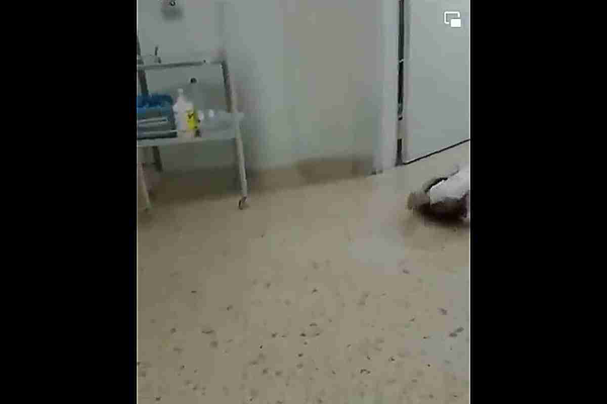 Tres enfermeras despedidas por no auxiliar a mujer que murió en el piso del hospital de Sabaneta