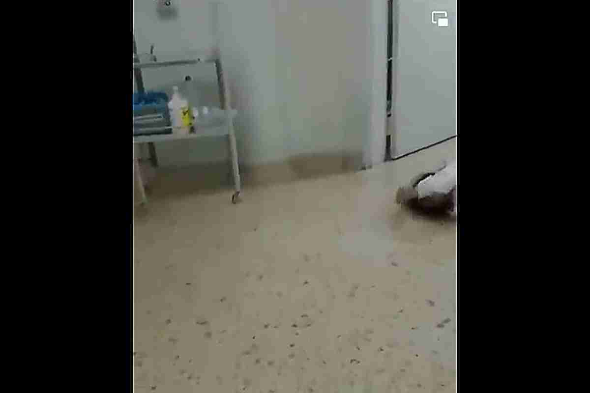 Negligencia médica en Sabaneta: mujer fallece en el piso de hospital sin que las enfermeras la socorran