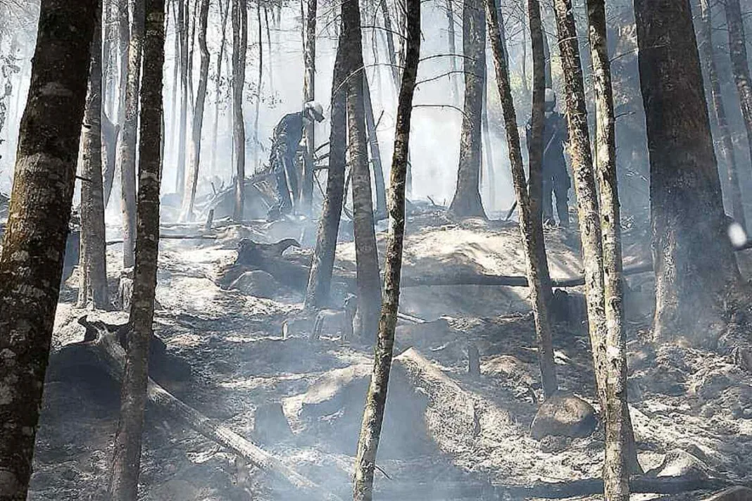 Más de 30 hectáreas arrasadas por incendio en Medellín cerca del Túnel de Oriente