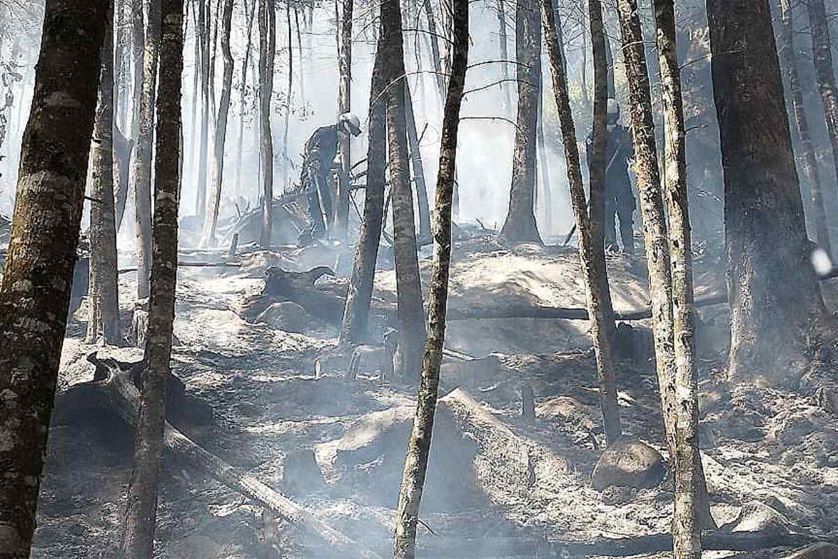 Más de 30 hectáreas arrasadas por incendio en Medellín cerca del Túnel de Oriente