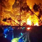 Incendio en Tenerife: Más de 8.000 Hectáreas Afectadas y 12.279 Evacuados