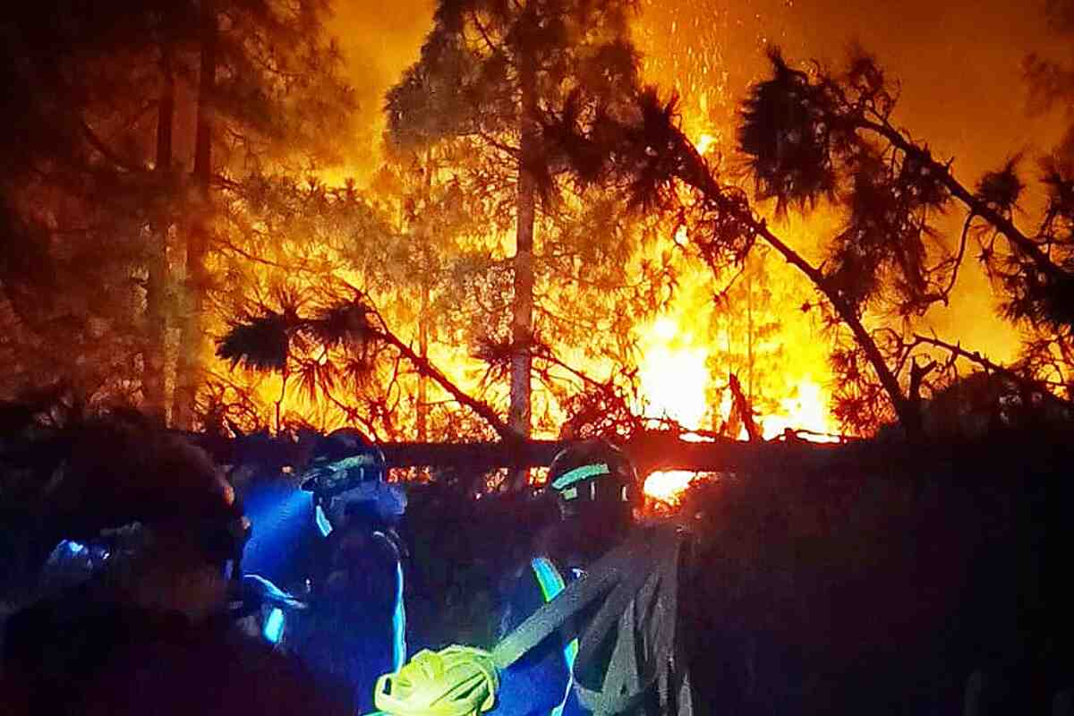 Incendio en Tenerife: Más de 8.000 Hectáreas Afectadas y 12.279 Evacuados