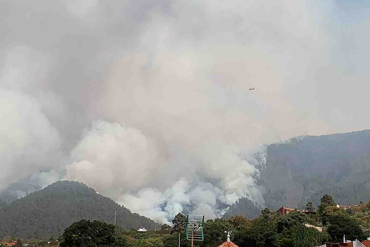 El incendio de Tenerife se cobra 2.600 hectáreas: es el más devastador de Canarias desde hace 40 años