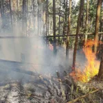 Incendio forestal en Medellín continúa descontrolado tras 3 días de labores -túnel de oriente