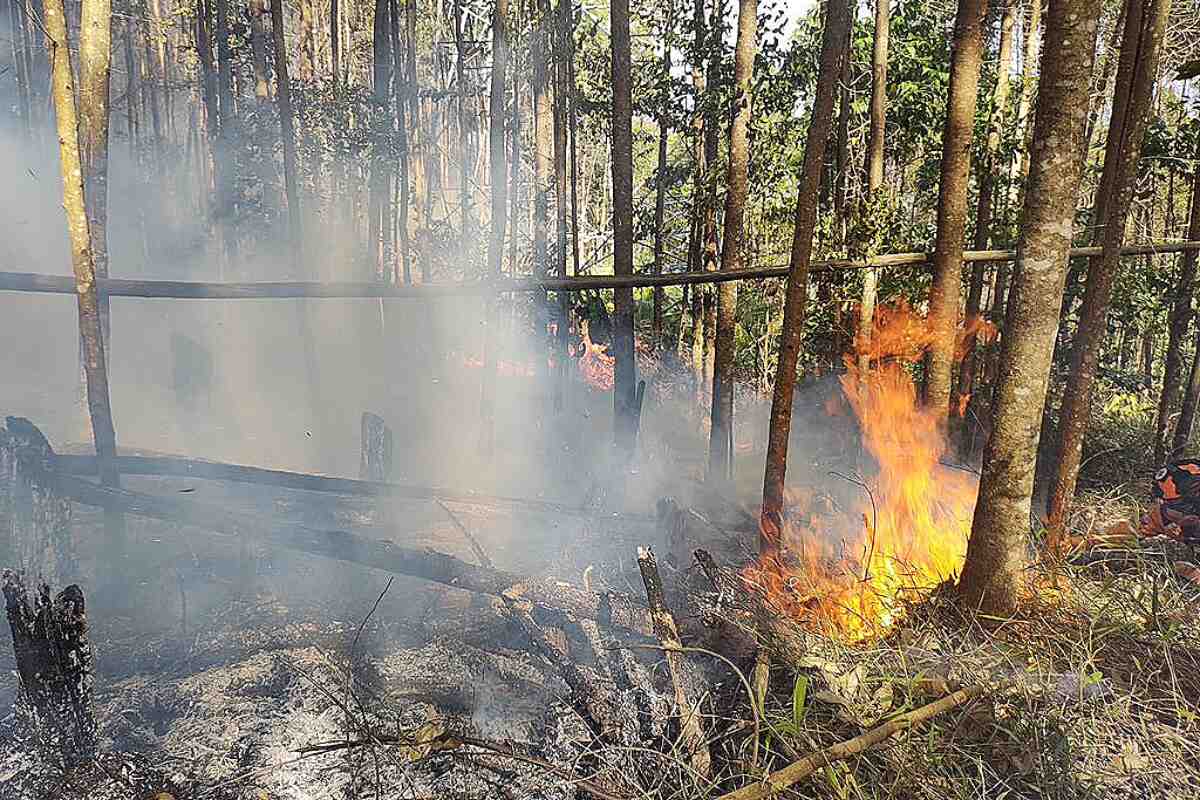 Incendio forestal en Medellín continúa descontrolado tras 3 días de labores -túnel de oriente