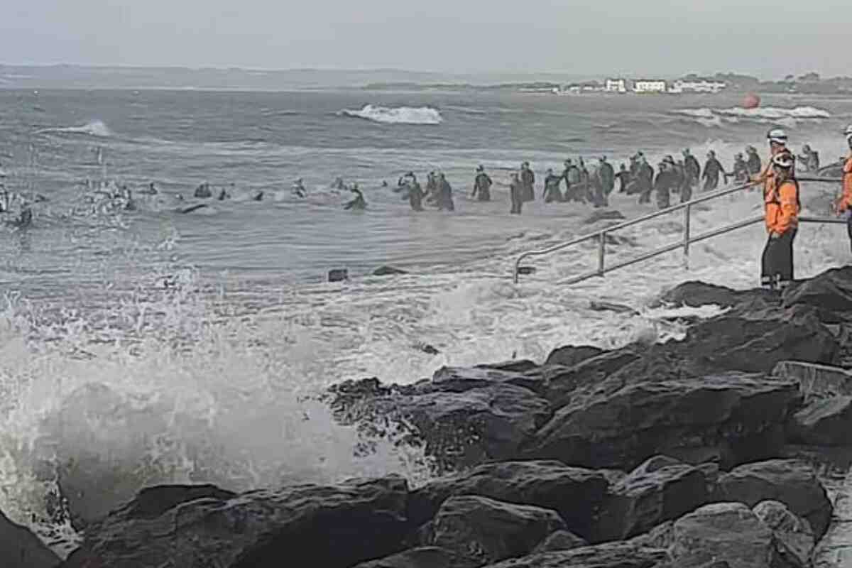 Ironman 70.3 de Irlanda se tiñe de sangre: dos hombres mueren en la carrera acuática