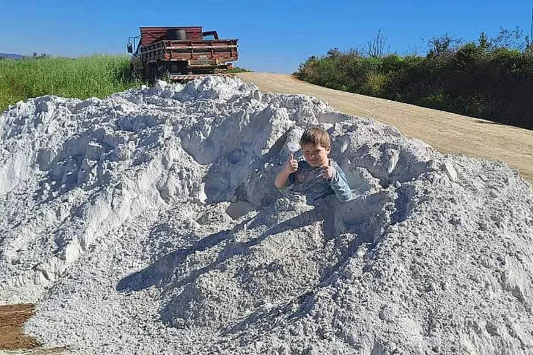 niño brasileño muere tras respirar polvo de piedra caliza en una propiedad familiar