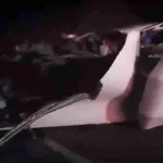 Accidente en Puebla: 15 fallecidos y 36 heridos al impactar un autobús con migrantes contra un tráiler