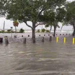 Tormenta Idalia deja tres muertos y múltiples destrozos en el sudeste de Estados Unidos
