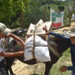 Atienden a 282 familias desplazadas en el municipio de Segovia por disputa de grupos armados