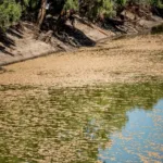 Australia ha vivido su invierno más caluroso desde 1910