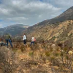 Colectivo de búsqueda y autoridades hallan 4 cuerpos de migrantes en frontera México-EEUU