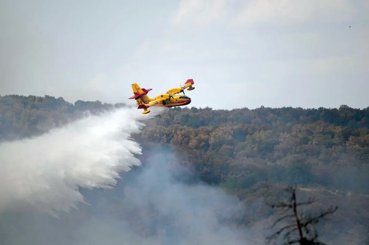 Contenido el enorme incendio de Evros en Grecia tras 17 días de lucha contra las llamas