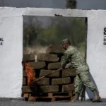 El Ejército incinera 461 kilos de narcóticos en el norte de México tras semana violenta