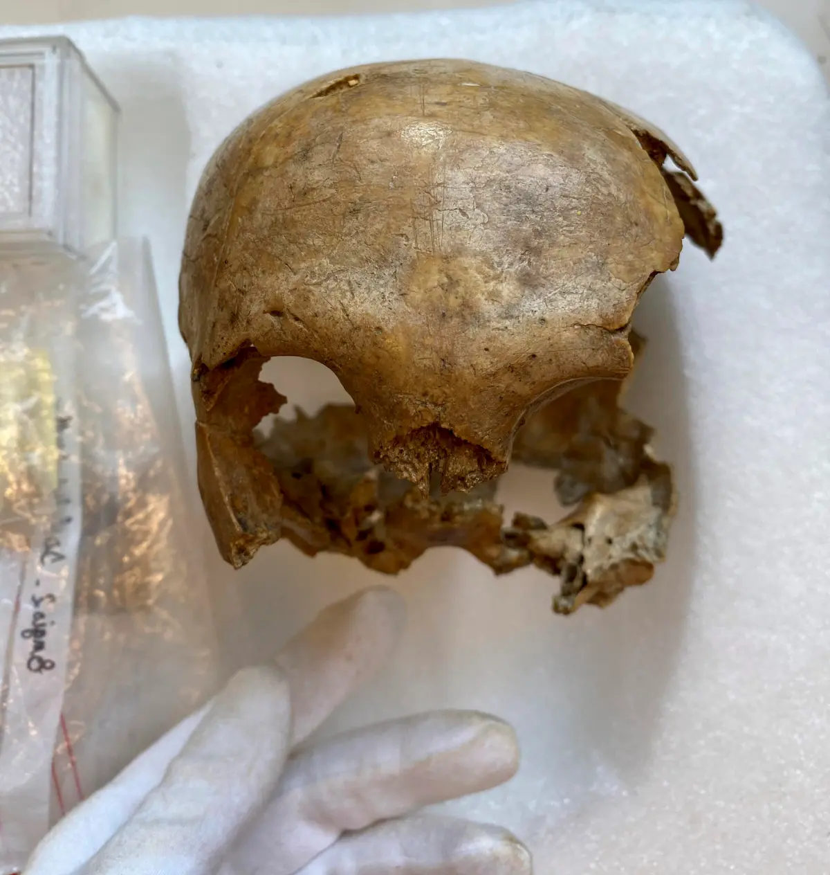 El primer neandertal, al que nadie hizo caso