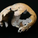 El primer neandertal, al que nadie hizo caso