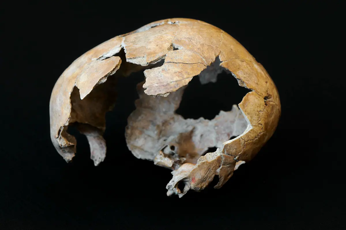 El primer neandertal, al que nadie hizo caso