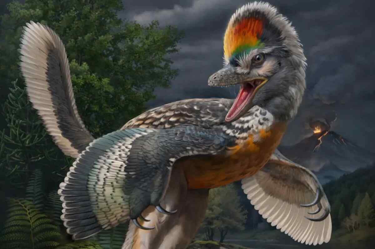 Hallan en China un fósil aviano, el eslabón perdido entre los dinosaurios y las aves
