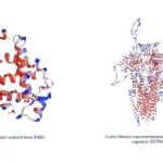 IA para identificar mutaciones en proteínas que pueden causar enfermedades