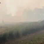 La capital ecuatoriana, Quito, registró 22 incendios forestales en 24 horas