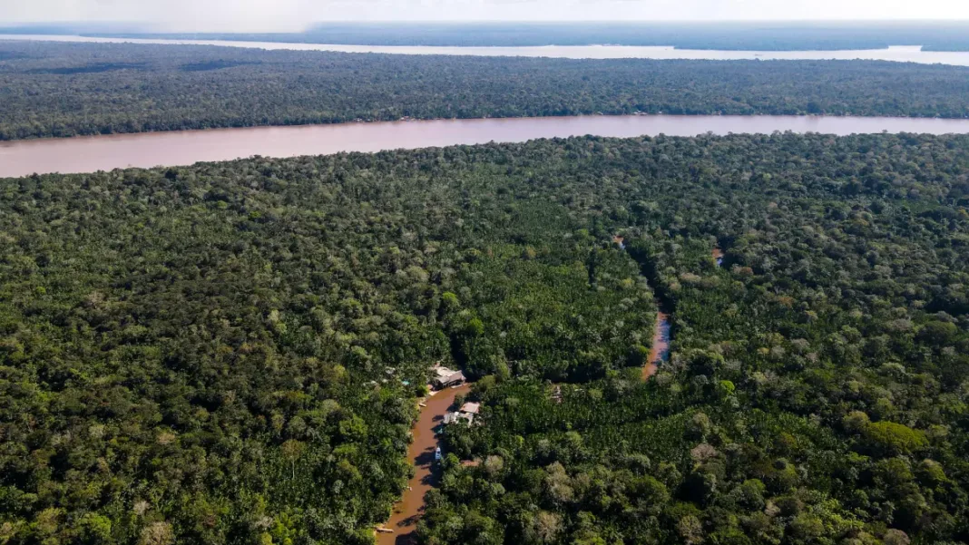 La deforestación en la Amazonía cae un 66 % en agosto y alcanza un mínimo desde 2018