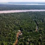 La deforestación en la Amazonía cae un 66 % en agosto y alcanza un mínimo desde 2018