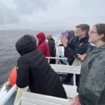 La inteligencia artificial se alía con ballenas y delfines para protegerlos de los barcos