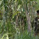 Nuevos enfrentamientos en Colombia entre el ELN y disidencias de las FARC dejan 16 muertos