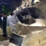 Niño de 10 Años Sobrevive a la DANA Aferrado a un Árbol en Aldea del Fresno
