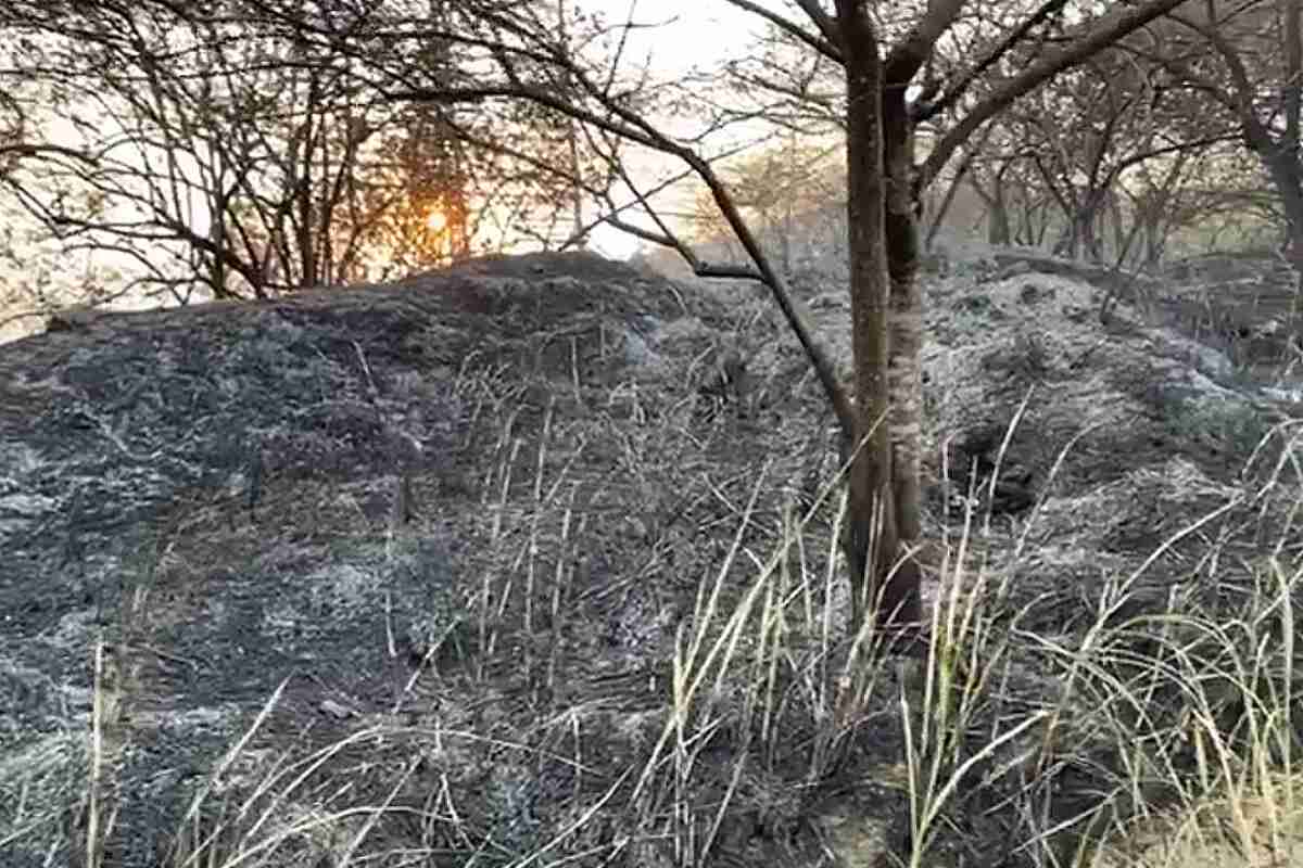 Incendio forestal arrasa con más de 60 hectáreas de bosque nativo en el norte de Cali-mujer Campesina muere quemada al provocar un incendio para sembrar cultivos en su finca en Bolívar