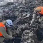 Alud causó la muerte de una familia de Curarrehue, en la región de la Araucanía