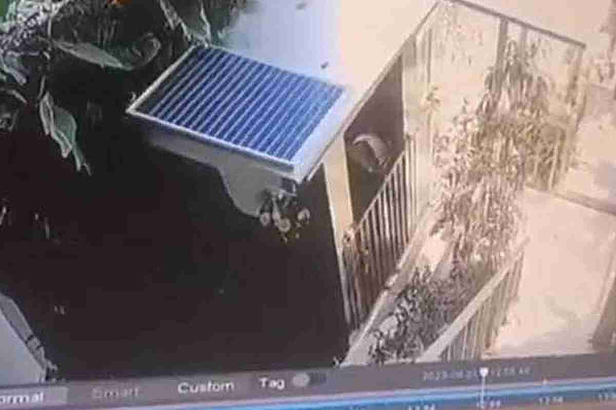 Cinco Vidas Perdidas Tras Desplome de Un Ascensor en el Ayuterra Resort de Bali