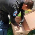 Hallan Granada en un Camión de Basura en Lomas de Chapultepec, CDMX