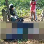Accidente mortal: tres hombres fallecen al chocar su moto contra una cerca en Bolívar