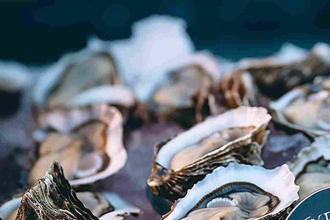 Muere hombre de Texas tras Consumir Bacteria Carnívora en unos Mariscos