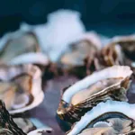 Muere hombre de Texas tras Consumir Bacteria Carnívora en unos Mariscos