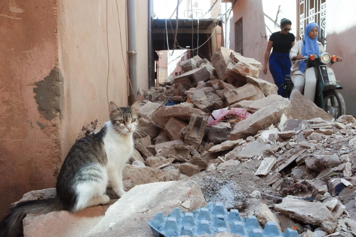 Asociaciones marroquíes piden que se declare zona catastrófica la dañada por el terremoto