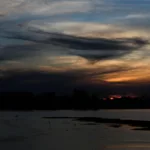 Brasil declara en situación crítica el principal afluente del río Amazonas