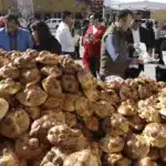 Con hojaldra monumental celebran Día de Muertos en el centro de México