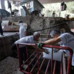 El Banco Mundial rebaja al 4,4 por ciento el crecimiento de China en 2024