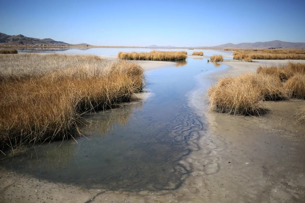 El nivel del lago Titicaca desciende a su mínimo histórico por la sequía en Bolivia