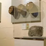 Exhibir excrementos de animales para concienciar sobre su futuro