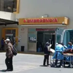 Muere por rabia humana mujer que fue mordida por un perro callejero en Arequipa
