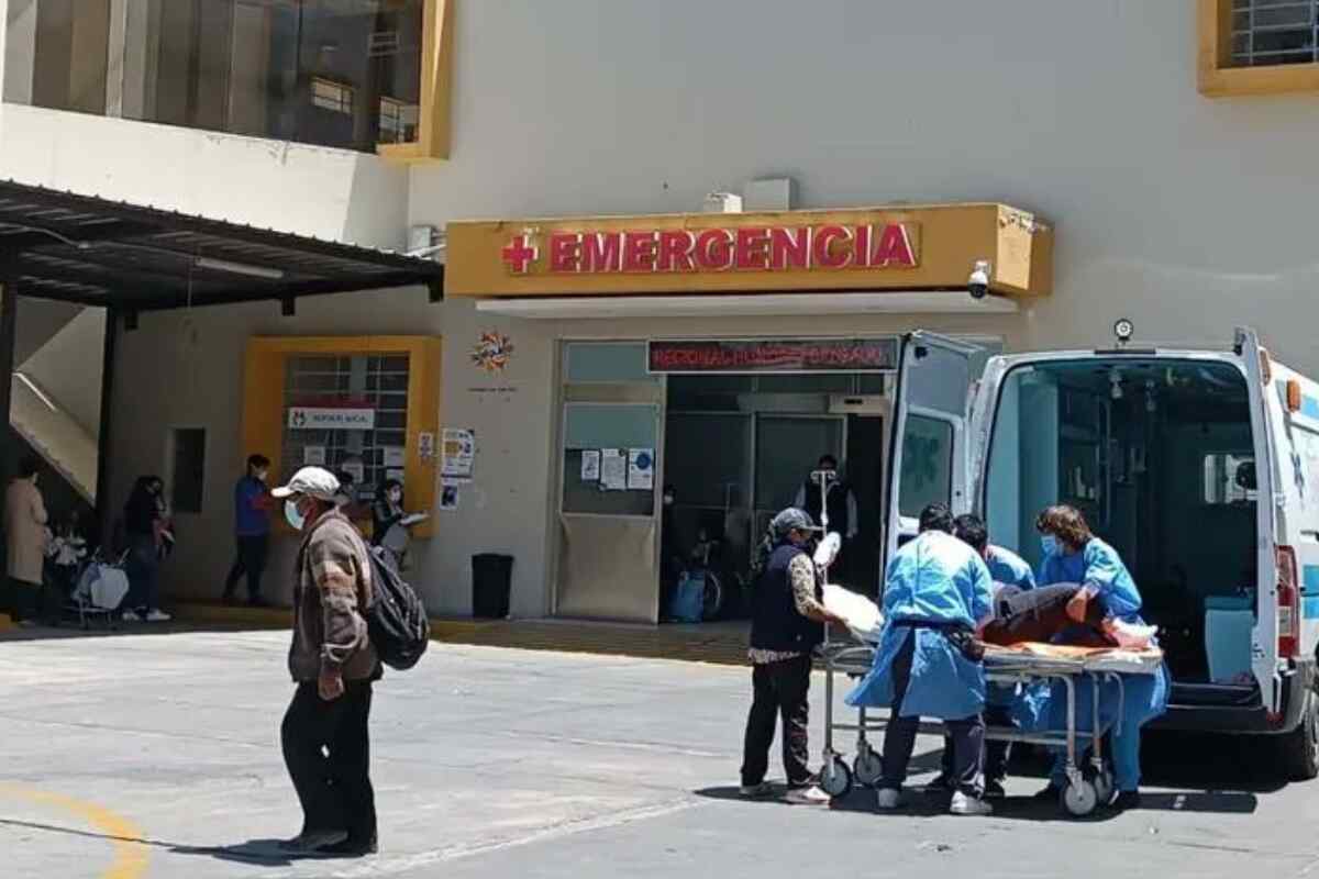 Muere por rabia humana mujer que fue mordida por un perro callejero en Arequipa