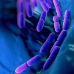Hospital de Tunja confirma brote de bacteria Klebsiella pneumoniae y advierte sobre su expansión en Colombia
