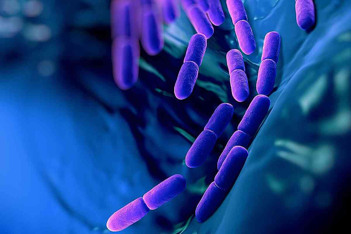 Hospital de Tunja confirma brote de bacteria Klebsiella pneumoniae y advierte sobre su expansión en Colombia